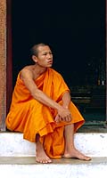 Young Monk