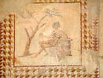 Roman Empire