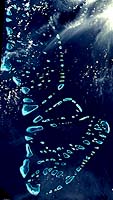 Maldives