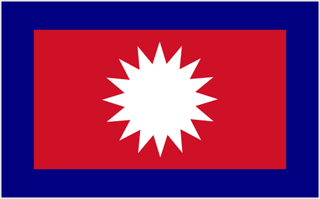 Mustang flag