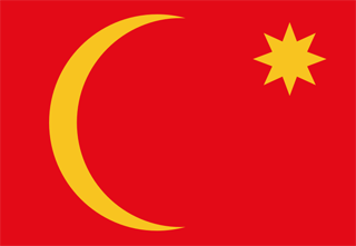 Ha'il flag
