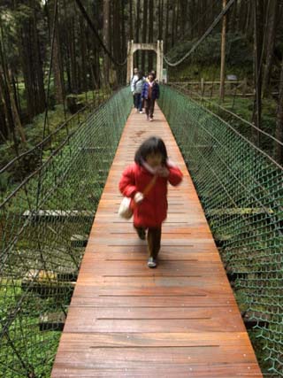 Girl on Rope Bridge in Cedar Forest, Alishan National Forest Recreation Area, Chiayi County, Taiwan