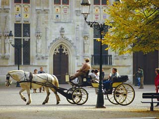 Horse-Drawn Trap, Bruges, Belgium