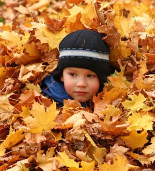 Child Playing in Leaves in Kadriorg Park, Tallinn, Estonia