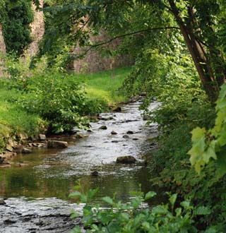 stream