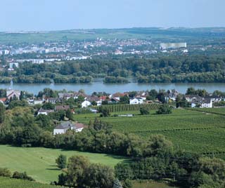 rhine river valley