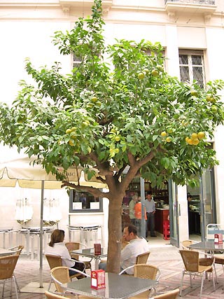 Spanish restaurant