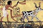 ancient farmer