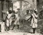 caribbean slaves