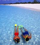 snorkelers