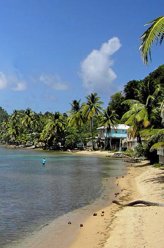 dominica beach scene
