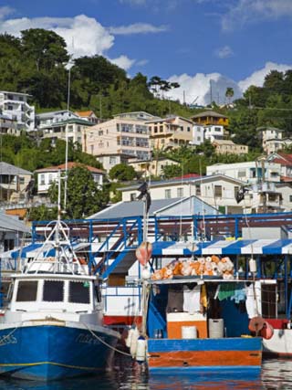 Fishing Boats in Carenage Harbour, St. George's, Grenada, Windward Islands, West Indies