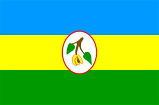 Flag of Bolivia 1825