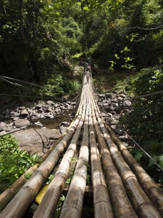 Bamboo Bridge at Dark View Falls, St. Vincent and the Grenadines, Windward Islands