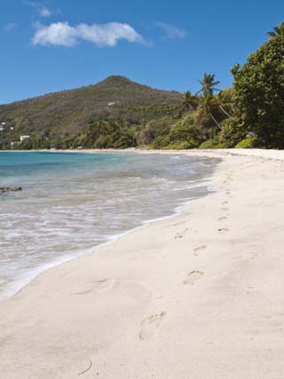 Friendship Bay Beach, Bequia, St. Vincent and the Grenadines, Windward Islands, West Indies