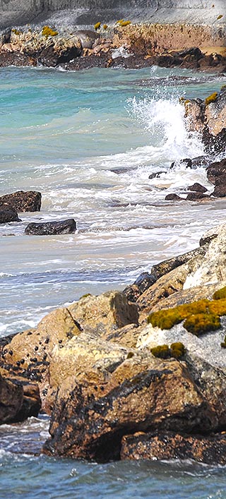 rocky coast big island