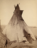 tipi