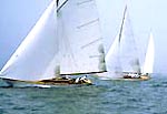 newport regatta