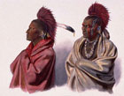 black hawk war