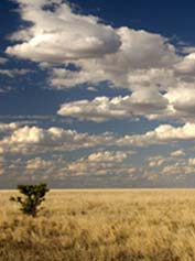 Northern Territory