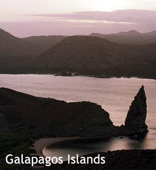 galapagos