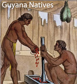 guyana natives
