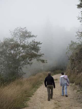 Two Men Walk Up a Foggy, Andean Dirt Road, Venezuela