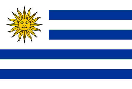 Image result for uruguay flag