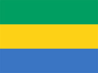 Risultati immagini per Gabon flag