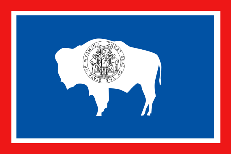 new york state flag outline. new york state flag picture.