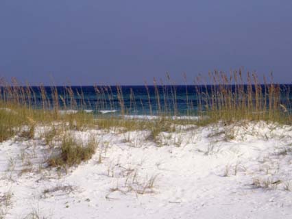 gulf of mexico map
