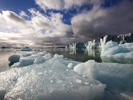 Icebergs Near Sveabreen Glacier in Nordfjorden