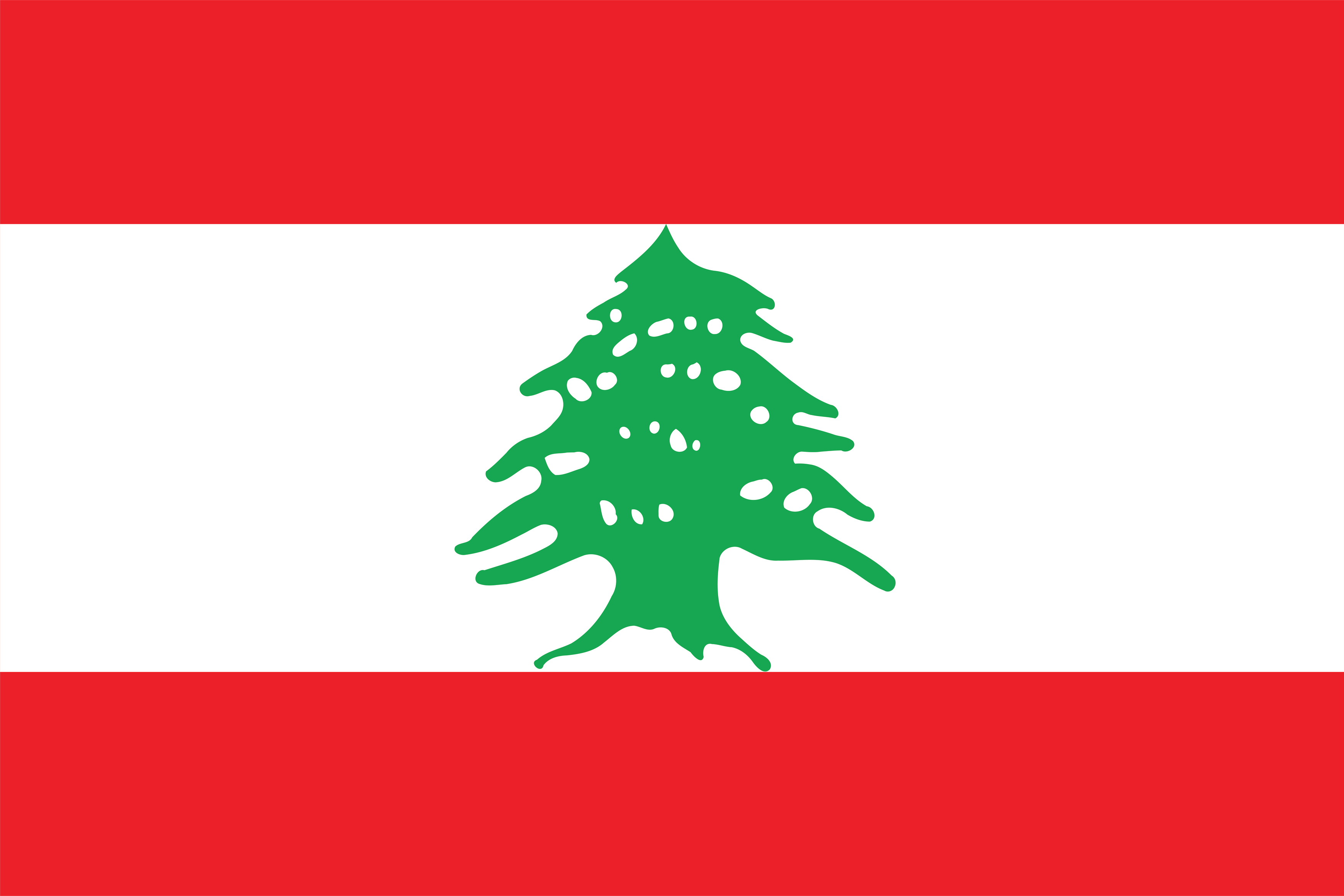 Flags of Syria: Symbols of a Divided Nation 