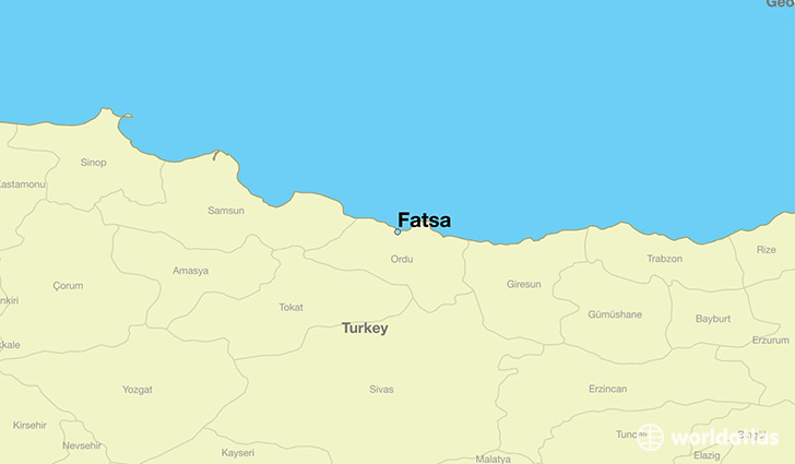 Resultado de imagem para fatsa turkey