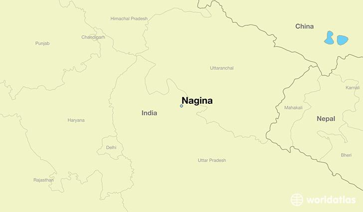 map showing the location of Nagina