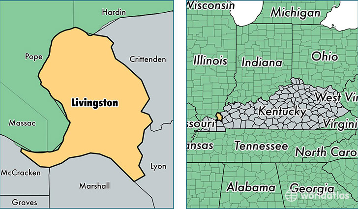 location of Livingston county on a map