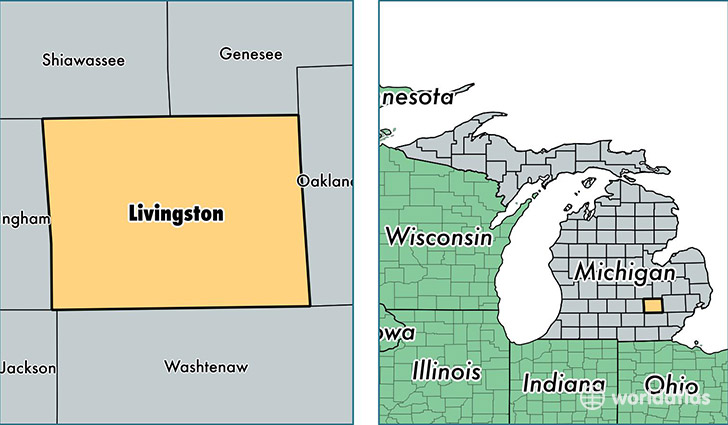 location of Livingston county on a map