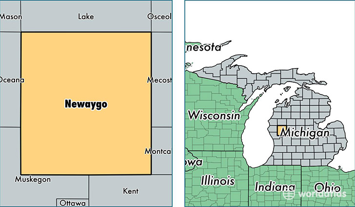 location of Newaygo county on a map