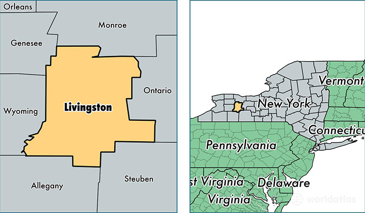 location of Livingston county on a map