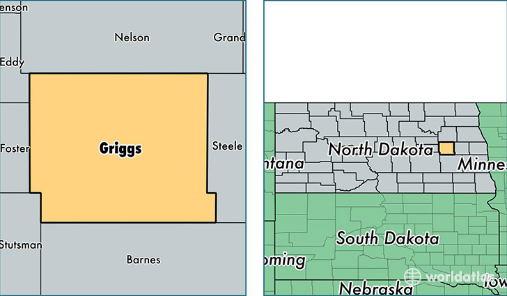 location of Griggs county on a map