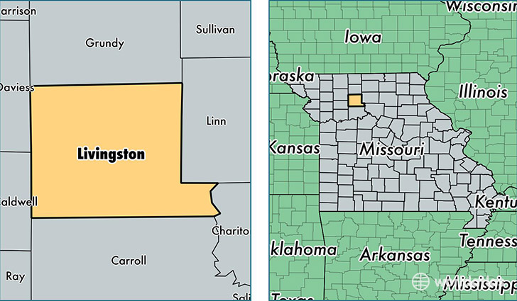 location of Livingston county on a map