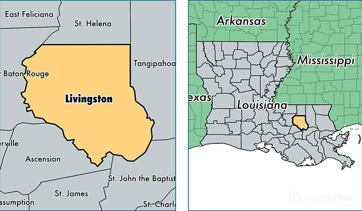 location of Livingston county on a map