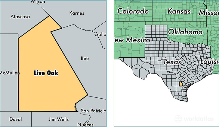 location of Live Oak county on a map