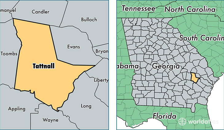 location of Tattnall county on a map