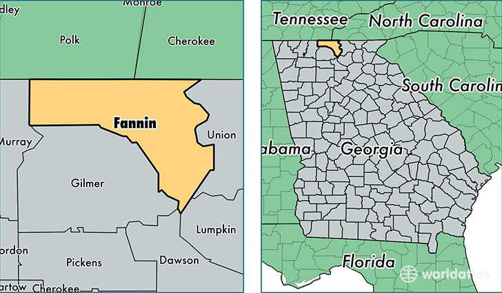 location of Fannin county on a map