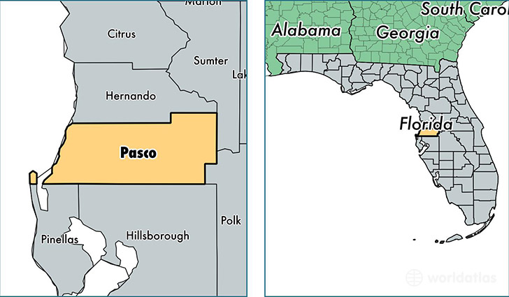 Pasco County Florida Zip Code Map