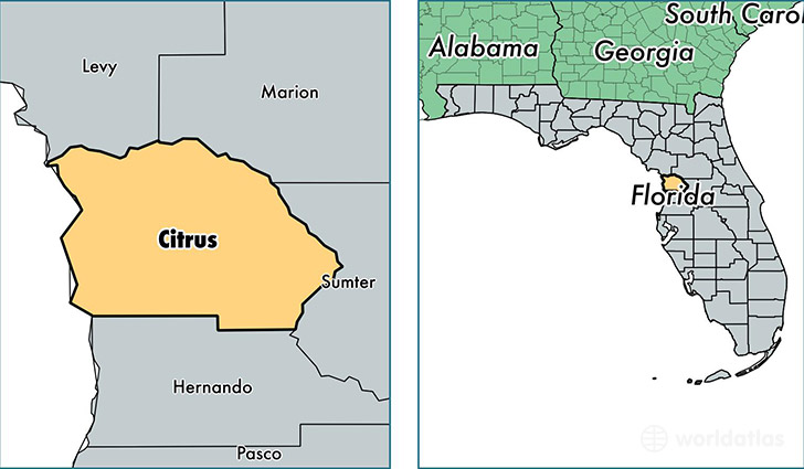 location of Citrus county on a map
