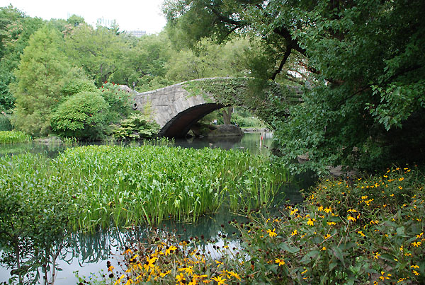 central park bridge