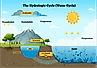 The water cycle.
