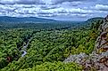 The dense wilderness of the Porcupine Mountains Wilderness State Park.